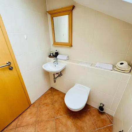 מלון Gaestehaus Buehler 3*