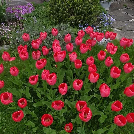 比勒旅馆 酒店 奥伯斯特多夫