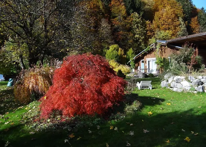 Gaestehaus Buehler מלון 3*