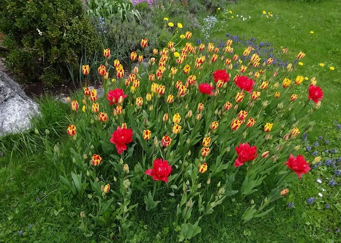 מלון Gaestehaus Buehler