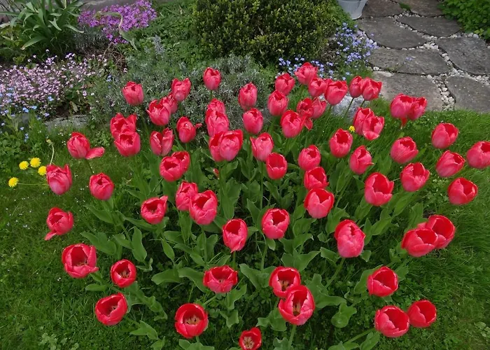 Gaestehaus Buehler מלון אוברסטדורף